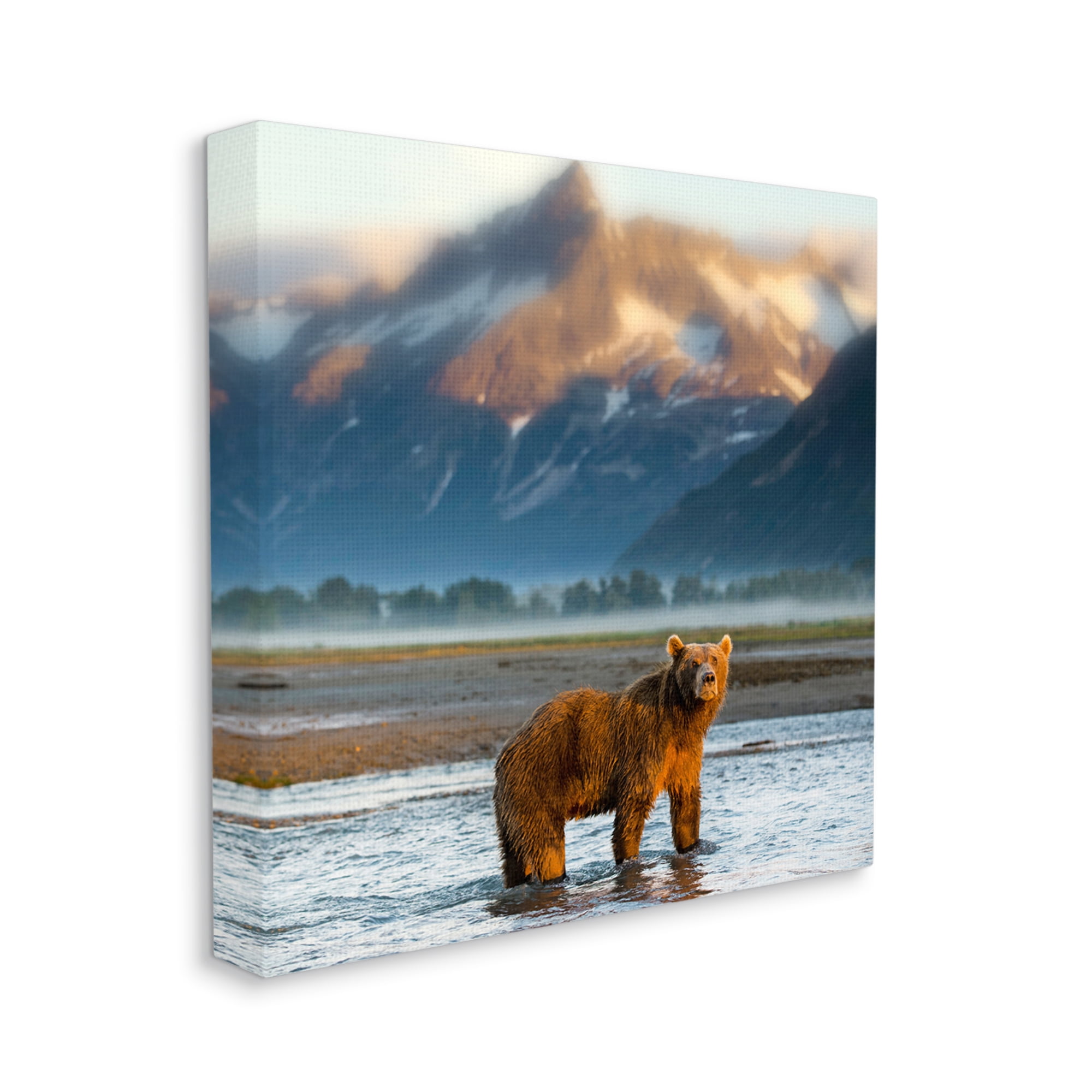 Stupell Industries Bear in Mountain Lake Animals & Insects Photography Gallery Wrapped Canvas Art Print Wall Art, 36 x 36