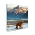 thumbnail image 4 of Stupell Industries Bear in Mountain Lake Animals & Insects Photography Gallery Wrapped Canvas Art Print Wall Art, 36 x 36, 4 of 8