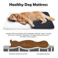thumbnail image 3 of Alfombrilla JoicyCo para cama de perro, extra grande y suave, 122 x 76 cm, 3 of 7