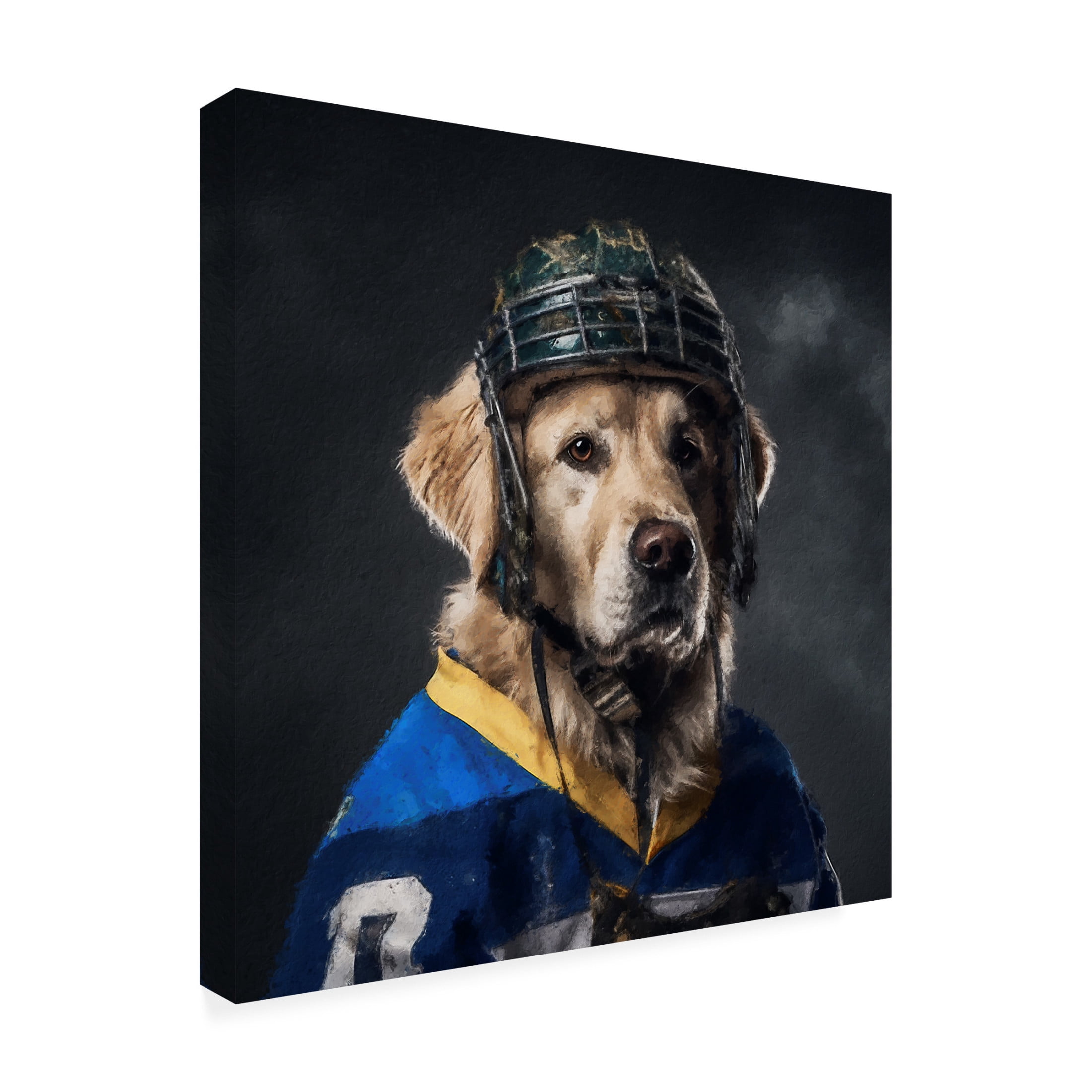 Canvas Wall Art - Sean Parnell 'Hockey 6' Wall Art for Living Room, Bedroom, or Office Décor by Trademark Fine Art - 18 x 18 Inches