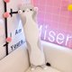 thumbnail image 3 of Cute Long Strip Cat Pillow Doll Cloth Doll, 3 of 4
