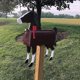thumbnail image 4 of Mailbox Personalized Weather-proof Perfect Gift Horse Cow Chicken Shape Outside Garden Post Box Orna, 4 of 5