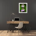 thumbnail image 3 of Talbot Frank, Christopher 26x32 White Modern Wood Framed Museum Art Print Titled - Tennessee, Great Smoky Mts Trillium flowers, 3 of 4