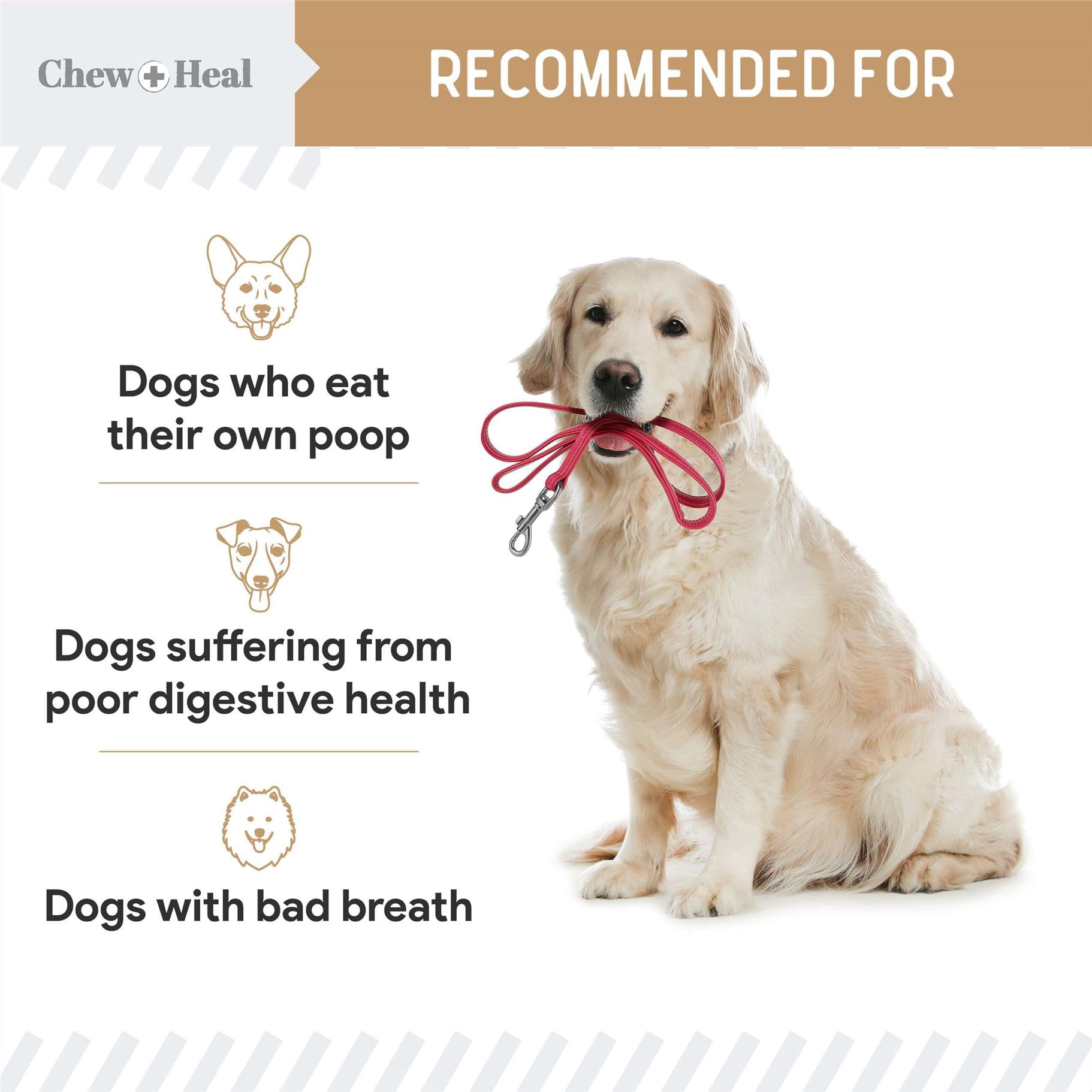 Chew + Heal Stop The Poo Chew Coprophagia Treatment For Dogs - 120 Soft, Bad Breath Aid - Peanut Butter Flavor