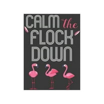 Calm The Flock Down : Summer Vibes Flamingo Gift (Paperback)