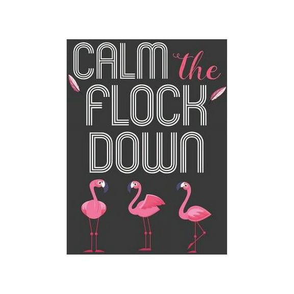 Calm The Flock Down : Summer Vibes Flamingo Gift (Paperback)