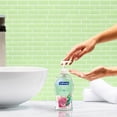 thumbnail image 4 of Softsoap Antibacterial Sensitive Liquid Hand Soap, 332 mL Bottle, 332 mL Bottle, 4 of 5