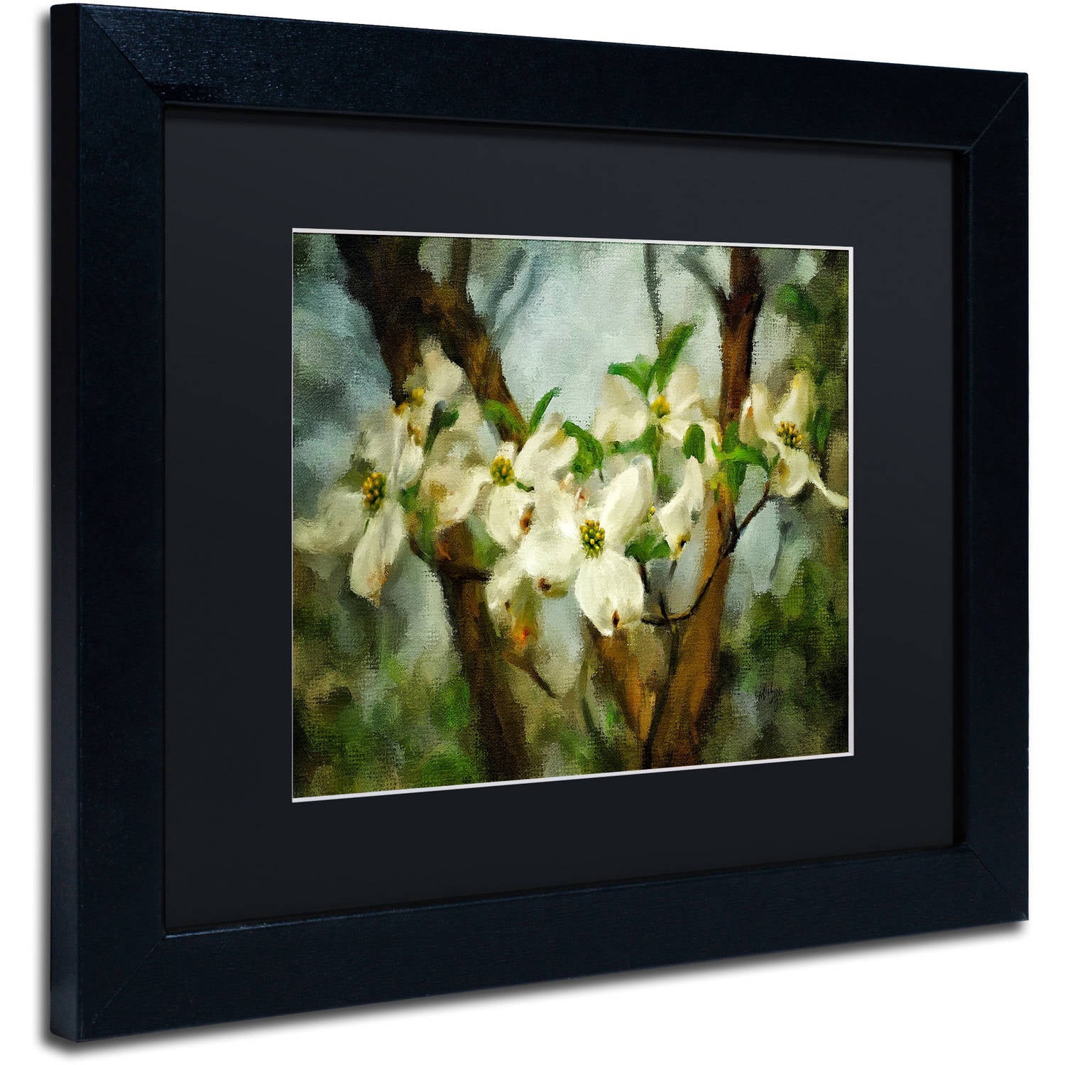Trademark Fine Art "Painted Dogwood" Canvas Art by Lois Bryan Black Matte, Black Frame