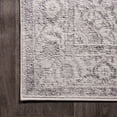 thumbnail image 5 of JONATHAN Y MODERN PERSIAN 2 x 10 Runner Rug, Rosalia Cottage Medallion - Gray/Dark Gray, MDP403E-210, 5 of 9