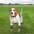 thumbnail image 7 of Unique Bargains 4Pcs Non-Slip Dog Socks with Sticky Tapes for Hardwood Floors Brown L, 7 of 7