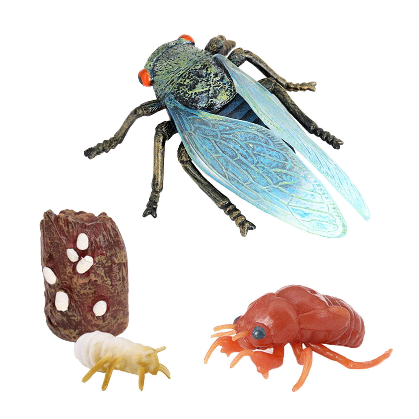 4Pcs Cicada Growth Figure Insect Life Cycle Model Education Cognitive Toy 