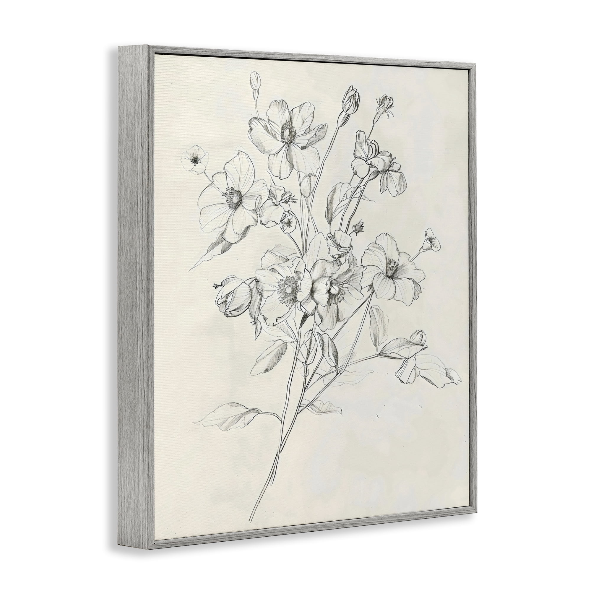Stupell Industries Wildflower Outline Study Gray Framed Giclee Art, design by Creative Studio