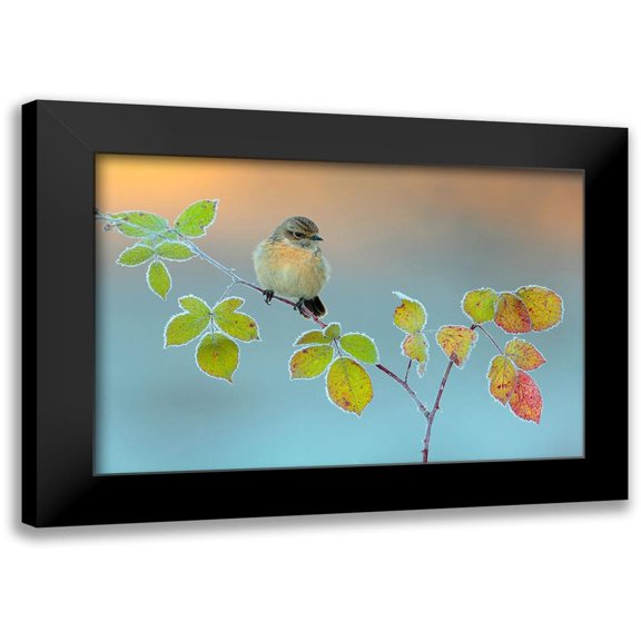 Miguel Dominguez, Andres 14x11 Black Modern Framed Museum Art Print Titled - Winter colors