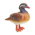 thumbnail image 4 of Figura de pájaro realista, figuras de animales para niños y niñas, educación temprana, figuras de animales de pájaro, modelo de pájaro para jardín de mandarín, 4 of 8