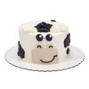 FARM FRIENDS SMASH CAKE