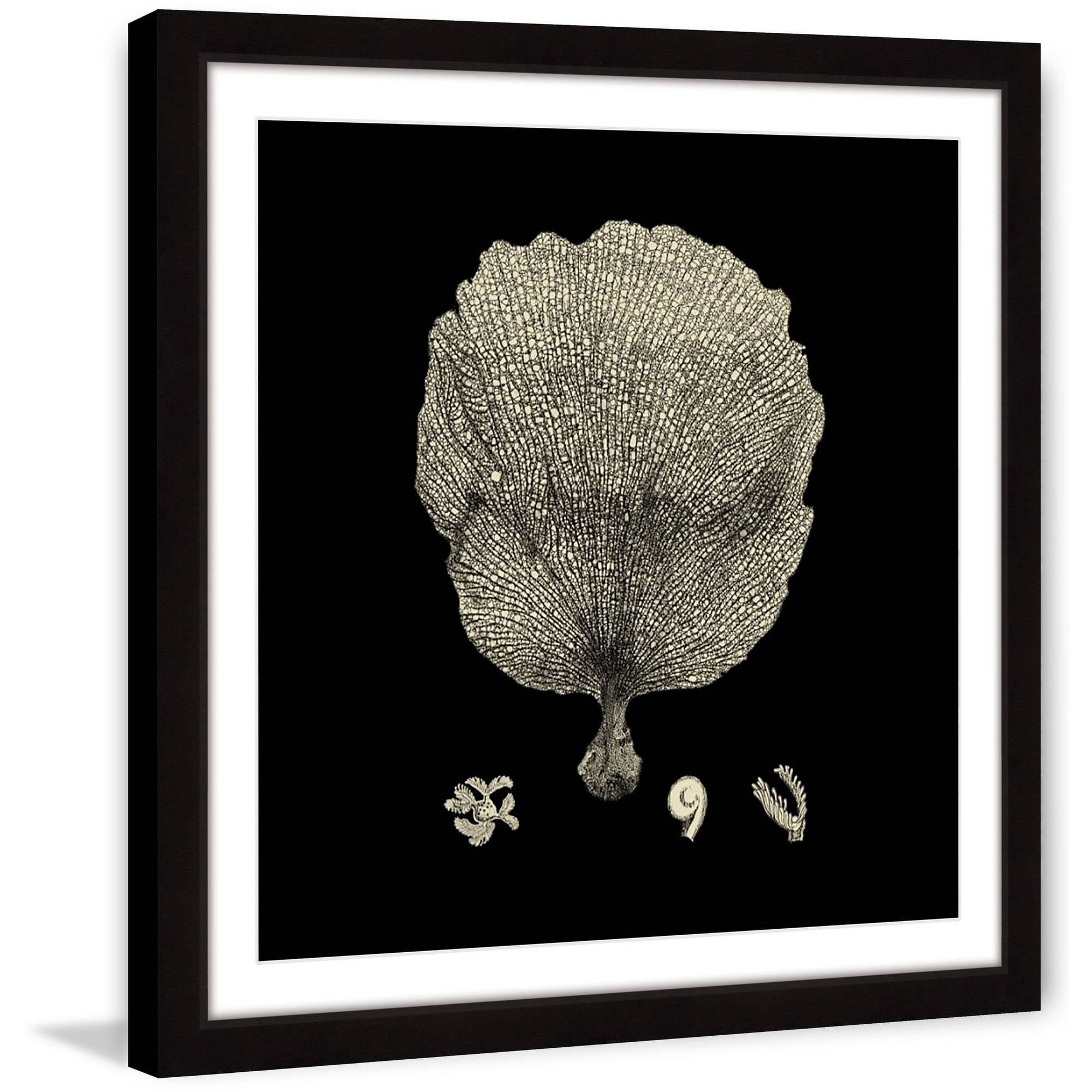 Marmont Hill "Black & Tan Coral II" Framed Painting Print