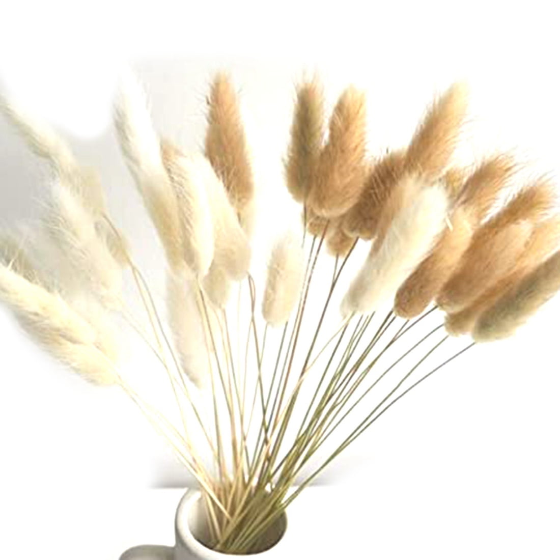 60Pcs (Mix Natural) Lagurus Bunny Tails Pampas Grass Decor for Home