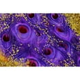 thumbnail image 3 of Lavoie, Tina 24x17 Black Modern Framed Museum Art Print Titled - Buried Treasure III, 3 of 5