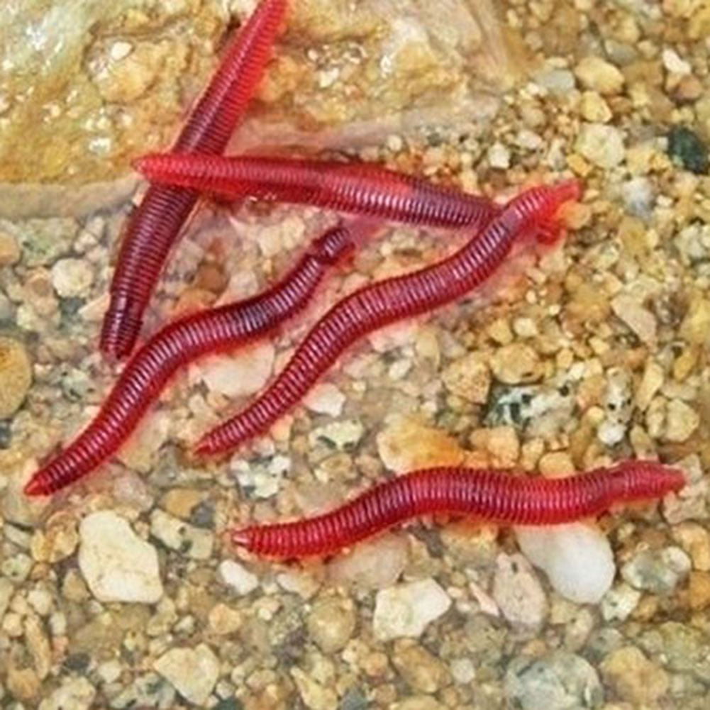 Soft Red Earthworm 50 x Fishing Bait Worm Lures Crankbaits Hooks Baits Tackle 