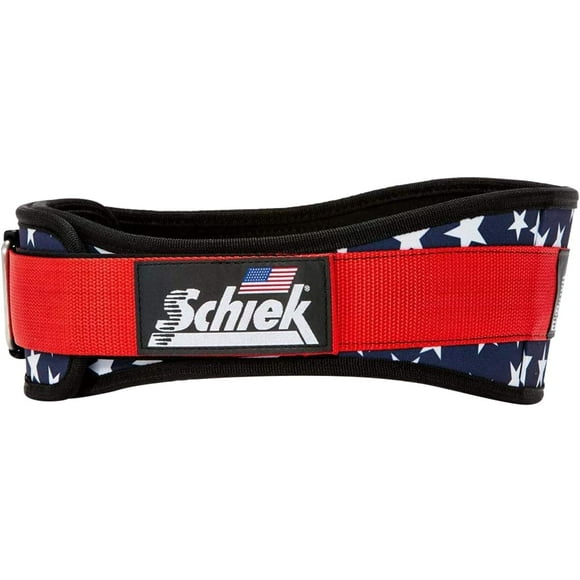 Schiek Sports Modèle 2004 Ceinture de Levage en Nylon 4 3/4 Pouces