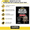 thumbnail image 4 of Harris Super Size Rat and Mouse Glue Trap, Extra Large Surface, Non Toxic, Ready to Use, No Bait Required 3PCK, 4 of 8
