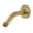 Brass, variant on Kingston Brass K151K8 Shower Scape 6" Shower Arm with Flange, Brushed Nickel