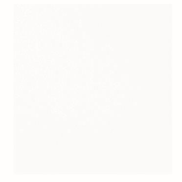 The Tile Life Everest White 12" x 12" Square Ceramic Floor and Wall Tile - 4x4 Sample
