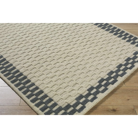Camdyn Contemporary Area Rug - Ivory, Charcoal - 2' x 3'