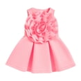 thumbnail image 2 of Rovga Robe pour Filles 12-18 Mois Robe Princesse Bébé Sans Manches Robe d'Anniversaire Fleur Rétro Robe d'Été Rose Clair, 2 of 5