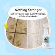 kin+kind Pet Urine Cleaner for Dogs & Cats, Multisurface Cleaner, Stain & Odor Remover, Pet Urine Remover, Stops Re-Marking, Citrus, 32 fl oz