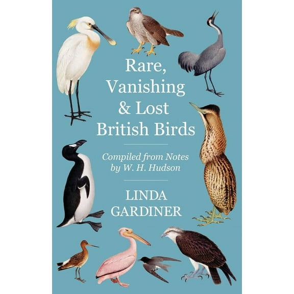 Rare, Vanishing and Lost British Birds: Compiled from Notes by W. H. Hudson, (Paperback)