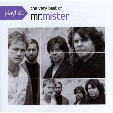 Playlist: The Very Best Of Mr Mister (Rmst) (Eco) (The Best Of Mr Mister)