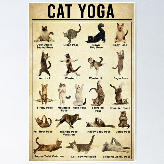 Poster Yoga Cat Wall Art, Cat Yoga Pose - No Framed, Vintage Wall Art, Trendy Retro Print, Positive Quote Poster, Room Decor, Wall Art, Poster Only