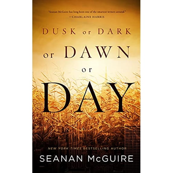 Pre-Owned Dusk or Dark or Dawn or Day (Paperback) 0765391422 9780765391421