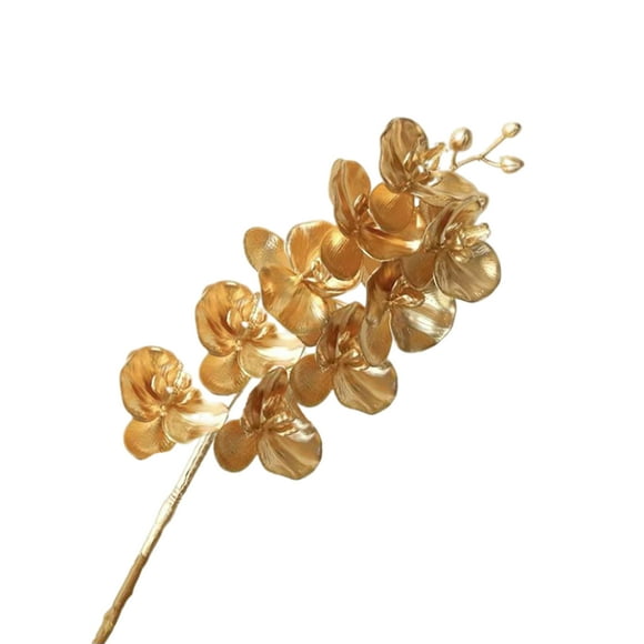 Simulation golden Phalaenopsis