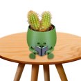thumbnail image 4 of Planta Creativa Bote Suculenta Macetas Flores Lindas Con Orificio Drenaje Multifuncional para Plantas Interior, 4 of 8
