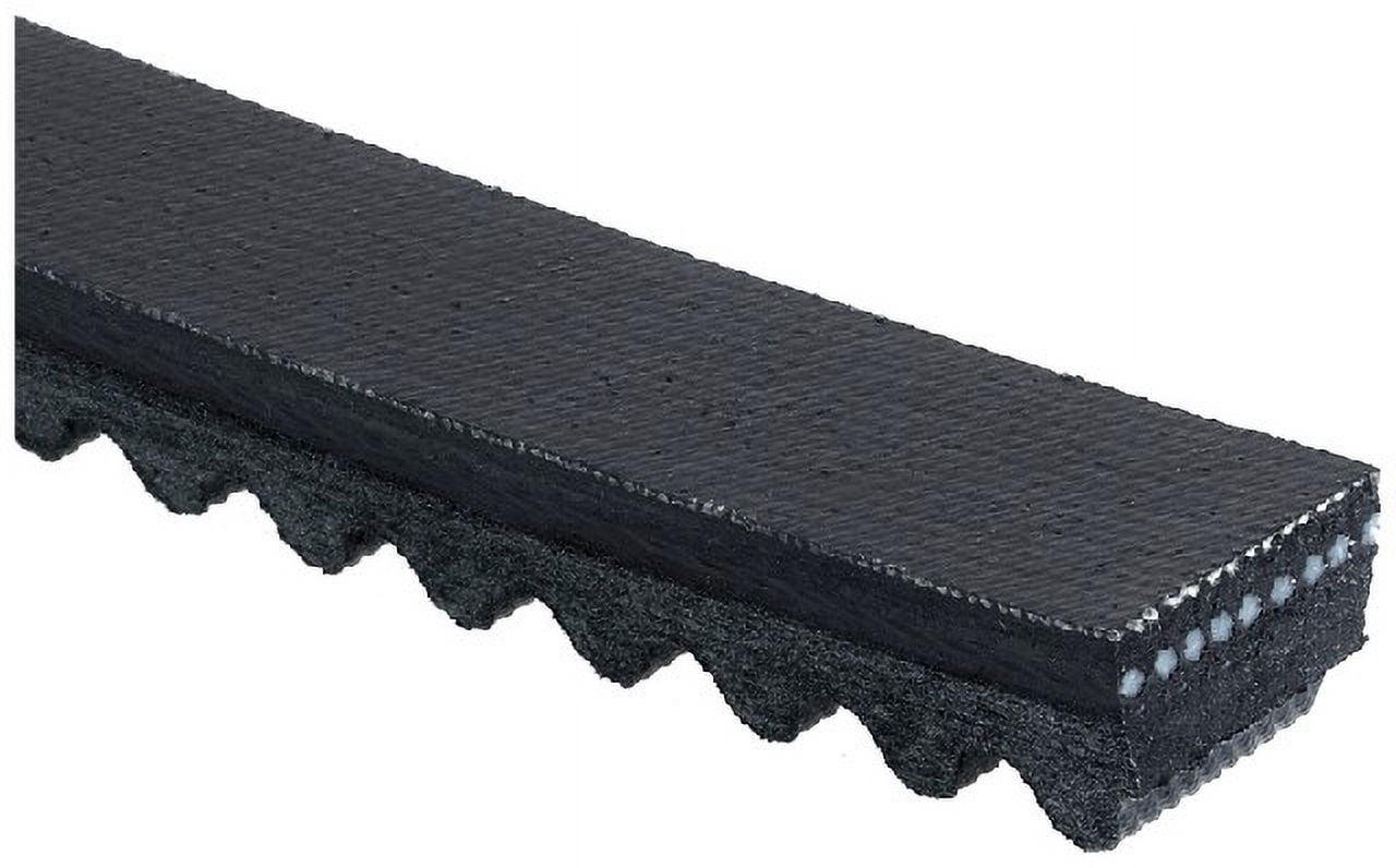 Accessory Drive Belt