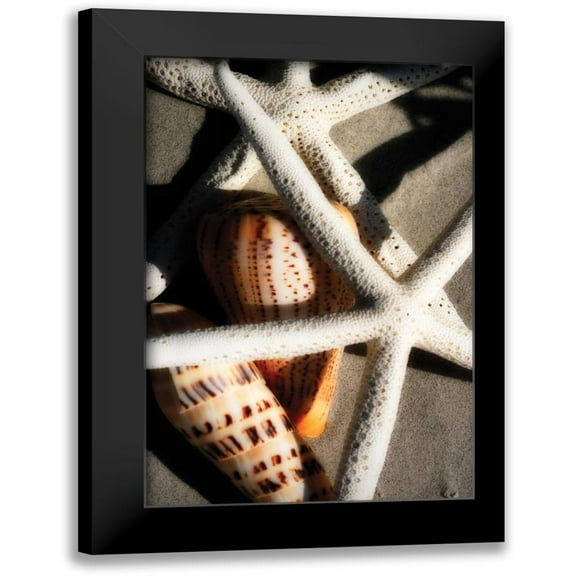 Hausenflock, Alan 11x14 Black Modern Framed Museum Art Print Titled - Shells by the Sea II
