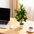 thumbnail image 1 of 2Pcs 20 Inches Artificial Lemon Tree, Fake Citrus Tree in Pot Faux Potted Plants for Home Office Living Room Table Decor, 1 of 7