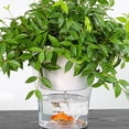 thumbnail image 3 of Lazy Flowerpot Self Watering Planter with Water-absorbing Cotton Rope Breathable Drainage Flower Pot for Indoor Plants, 3 of 8