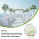 thumbnail image 5 of Flores artificiales Yuarrent 50 piezas rosas espuma crema, 5 of 6