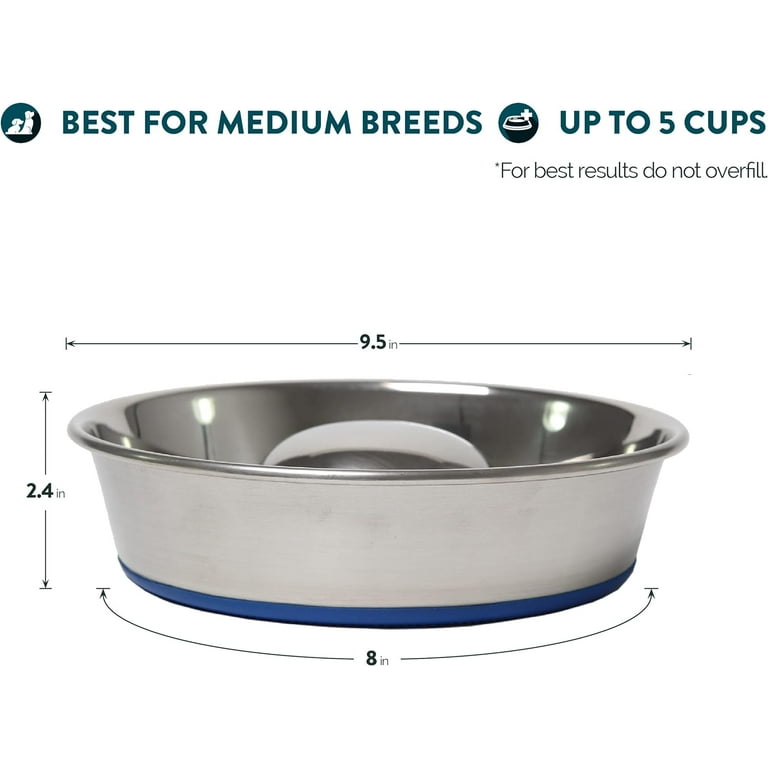 amazon dog water bowl collapse 100oz XXL Slurp