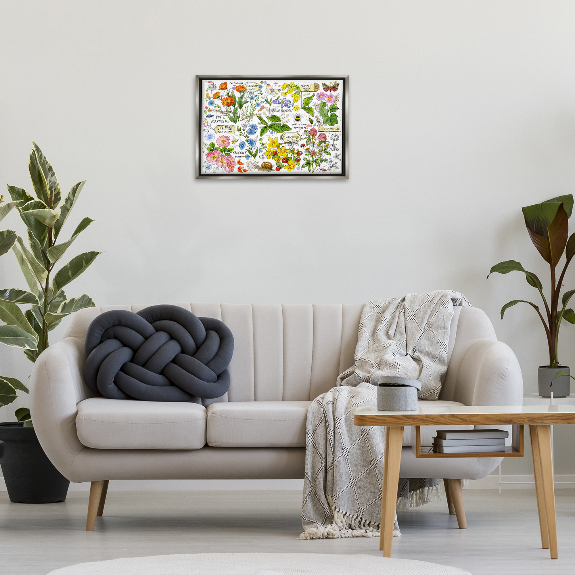 Stupell Industries Various Herbs Benefits Botanical & Floral Painting Gray Floater Framed Canvas Art Print Wall Art, 25 x 17