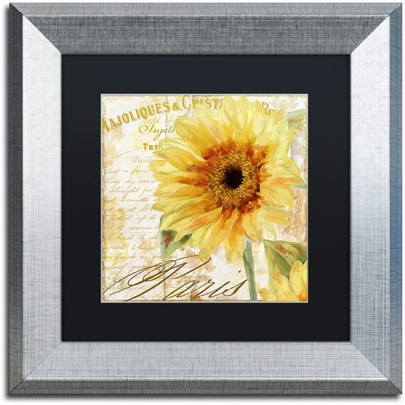 Trademark Fine Art "Ete II" Canvas Art by Color Bakery Black Matte, Silver Frame