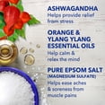 thumbnail image 5 of Dr Teal's Epsom Salt Magnesium Soak, Ashwagandha & Essential Oils, 3 lbs, 5 of 10