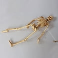 thumbnail image 2 of 1Pcs Aquarium Human Skeleton Resin Fish Tank Skull Skeleton Resin Ornament Reptile Tank Fish Tank Aquarium Decoration, 2 of 6