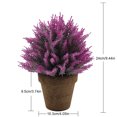 thumbnail image 2 of Desktop Mini Simulation Flower Lavender Mini Eucalyptus Bonsai Decorative Flower Vase Decoration, 2 of 8