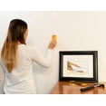 Zircon StudSensor WM5 Edge Finding Stud Finder with Picture Hanging Kit