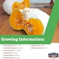 thumbnail image 2 of Harris Seeds Flat White Boer Ford Pumpkin, Non-GMO Treated Specialty White Pumpkin Variety, 250 Count, 2 of 7