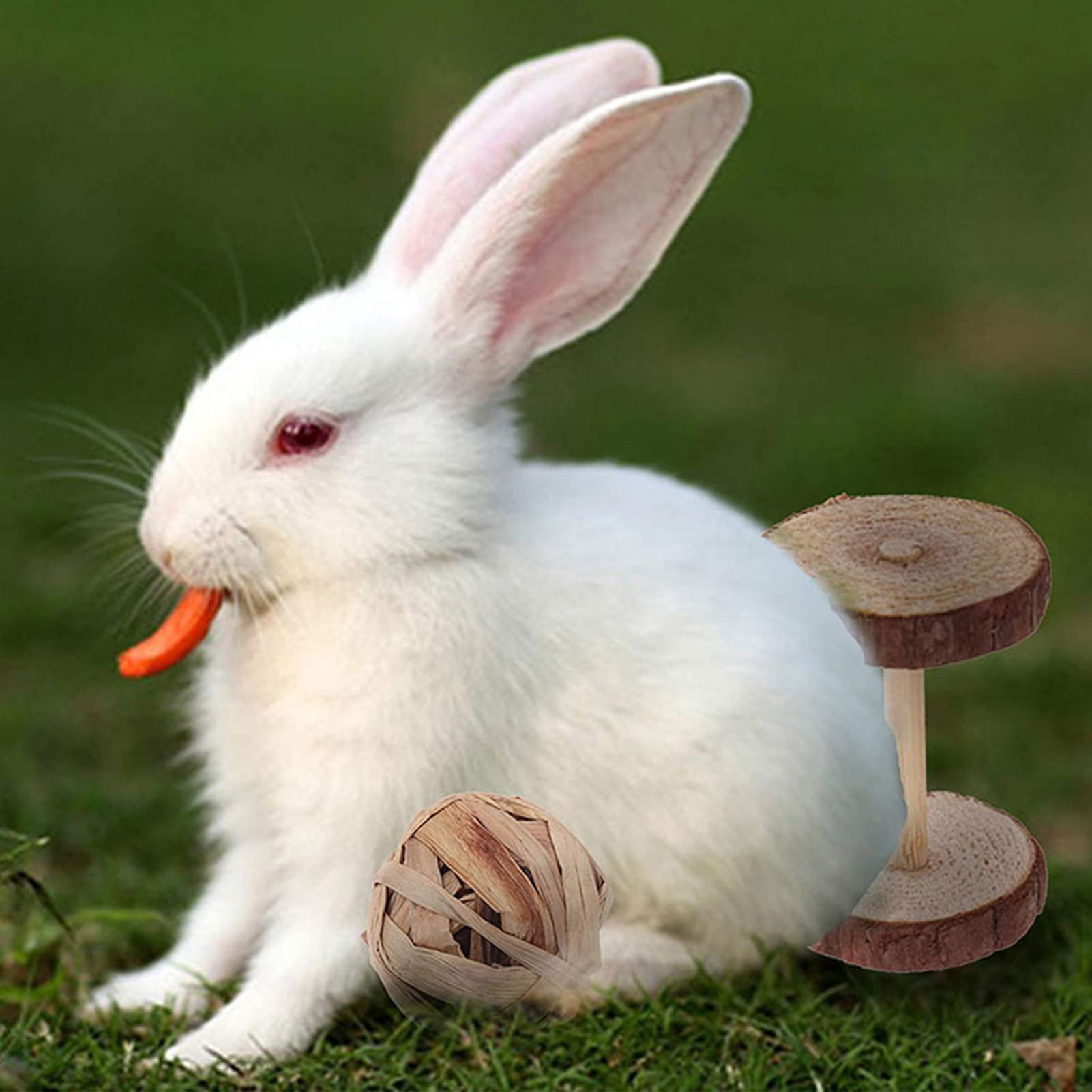 DOPI 8Pcs/Set Hamster Toys Timothy Hay Balls Natural Wood Molar Toys Small Animal Play Chew Toys for Chinchilla